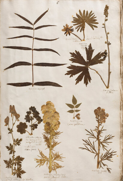 Orto botanico Padova