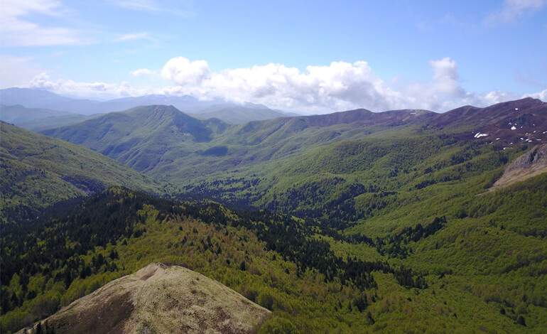 Doppia Certificazione Per Le Foreste Dell'area Protetta