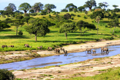 Serengeti