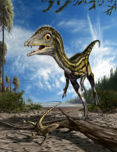 baby dinosauro Ciro