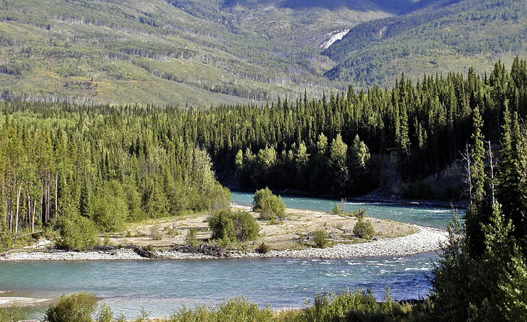 Effetti inattesi del disgelo del permafrost