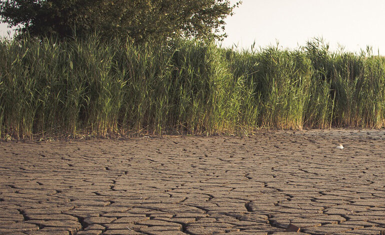 Il monito della scienza: agire subito!