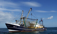 Il Piano europeo per conciliare pesca e ambiente