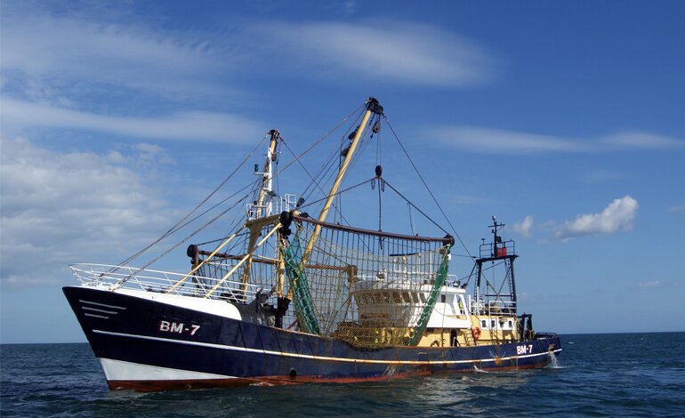 Il Piano europeo per conciliare pesca e ambiente