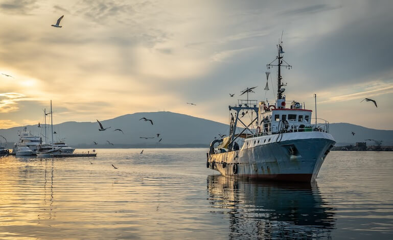 pesca sostenibile
