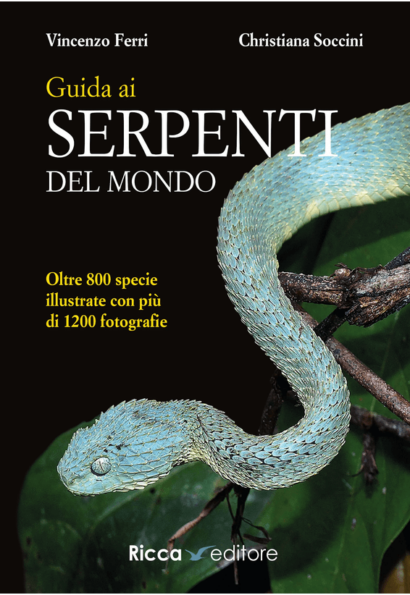 serpenti 