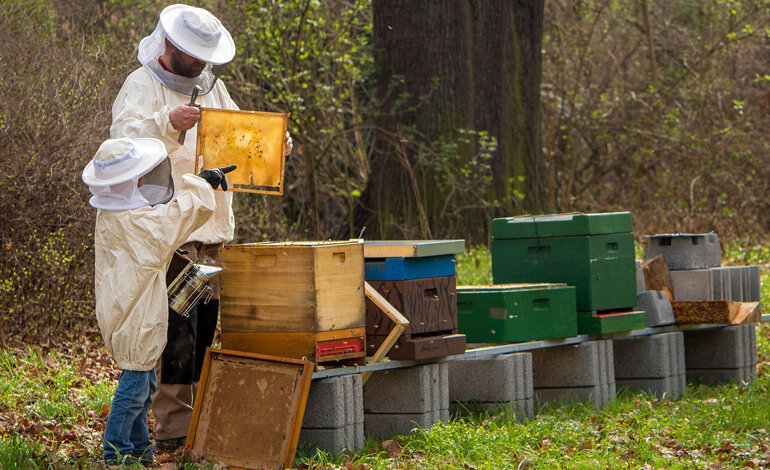 Le esperienze formative della Libera Università del Bosco