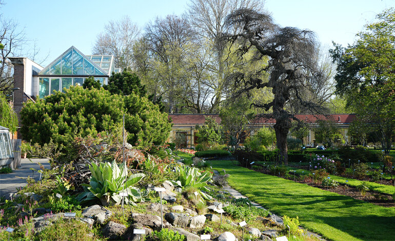 Il weekend? All’orto botanico!