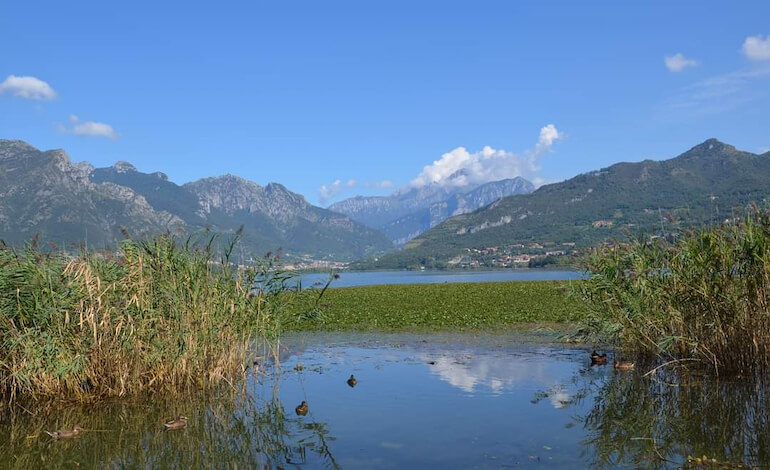 Land Art Brianza