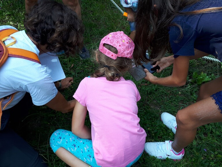 BioBlitz