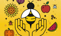 Le api e gli impollinatori hanno bisogno di un'agricoltura responsabile