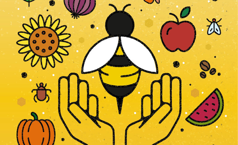 Le api e gli impollinatori hanno bisogno di un’agricoltura responsabile