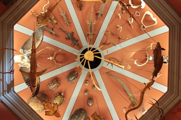Museo di Storia Naturale