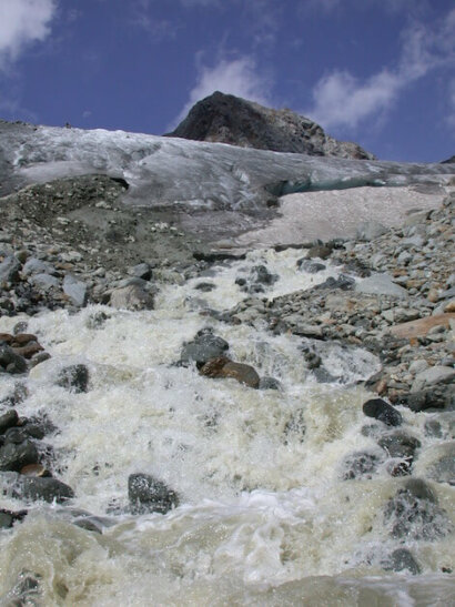 invertebrati alpini