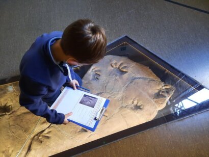 Museo di Storia Naturale
