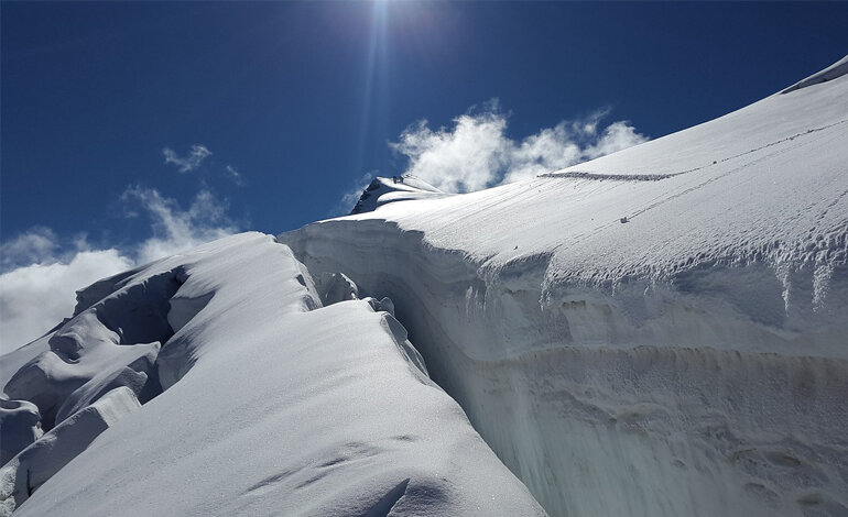 Un progetto europeo per censire la biodiversità glaciale alpina