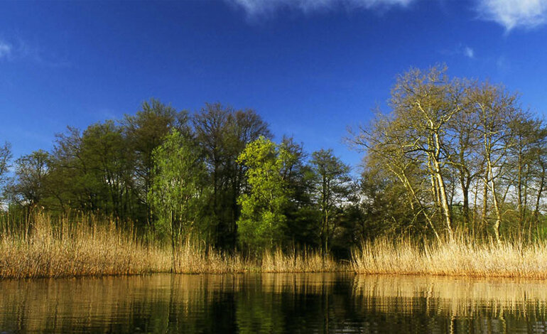 Vieni a scoprire la biodiversità che ti circonda