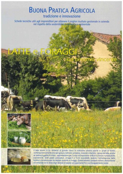 formaggio giallo