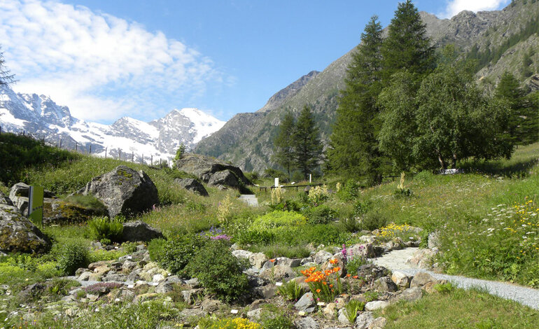 Riapre Paradisia di Cogne con nuove proposte