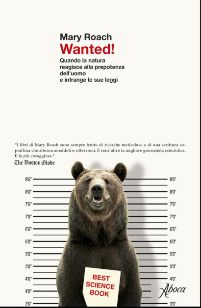 Wanted