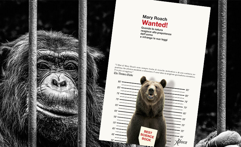 Wanted! Istruzioni per imparare a condividere il Pianeta