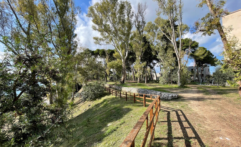 Il bando del Premio “La Città per il Verde” 2023