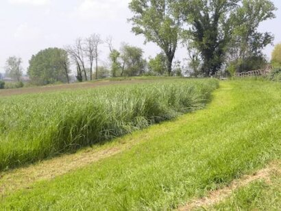 Cascina Selva