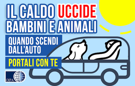 Lasciare Un Cane Chiuso In Auto è Reato