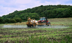 Le aziende agrochimiche nascondono i dati sui pesticidi neurotossici