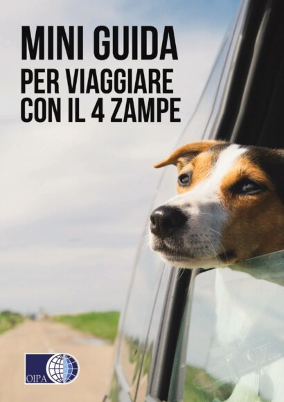 Viaggiare con cani 