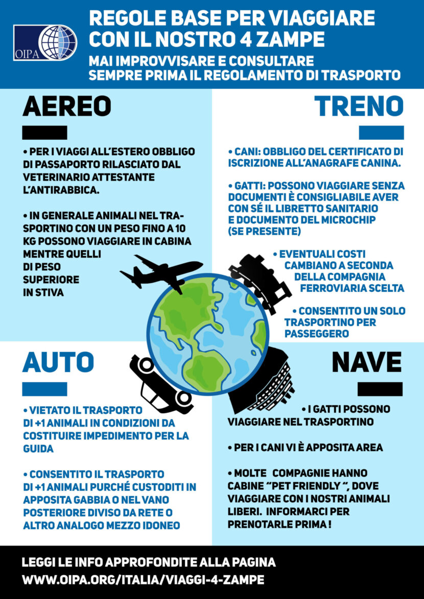Viaggiare con cani 