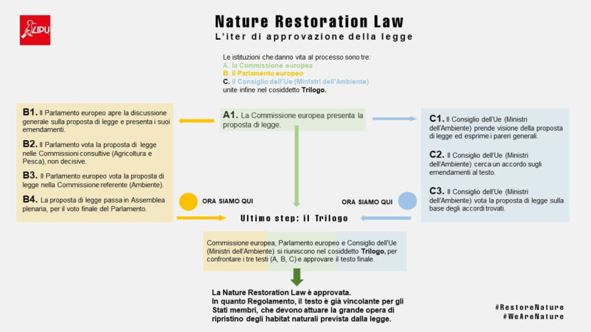 Nature Restoration Law 