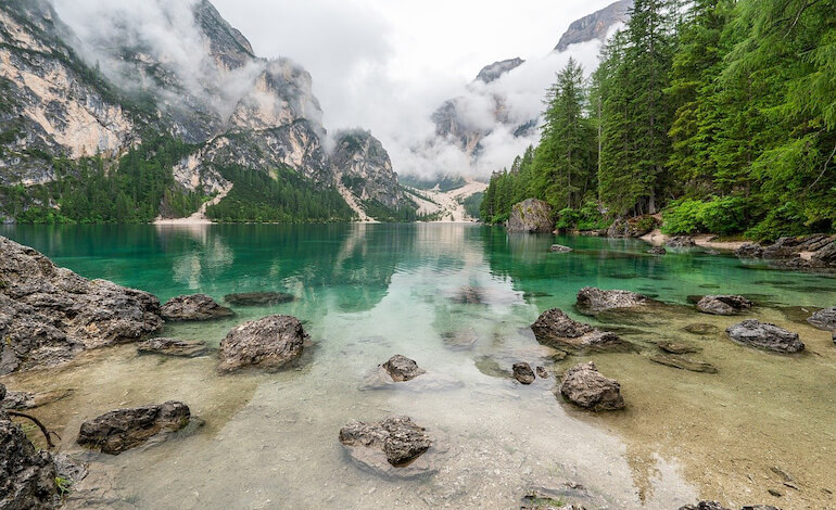 acqua