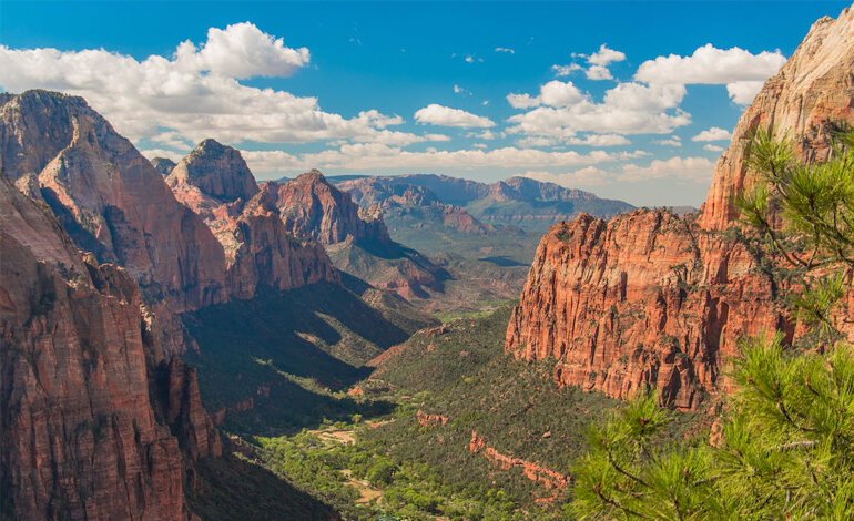 Sola in un canyon