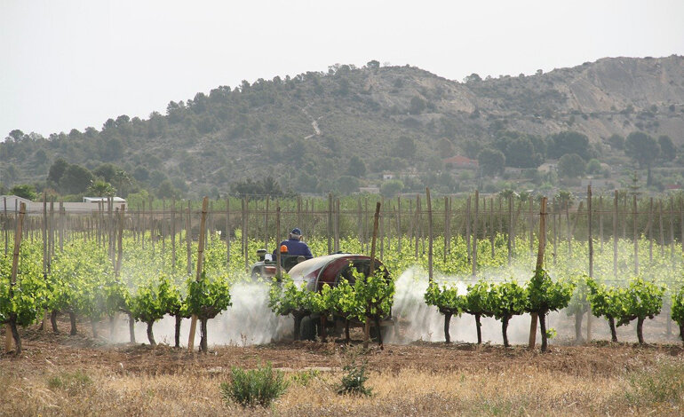 L’Europa si schiera con l’agrochimica e riapre le porte al glifosato
