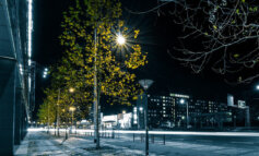 Autunno in ritardo per gli alberi delle città con lampioni LED
