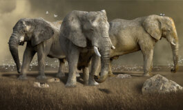 I giganti perduti dell'Africa