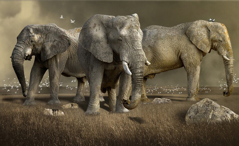 I giganti perduti dell’Africa