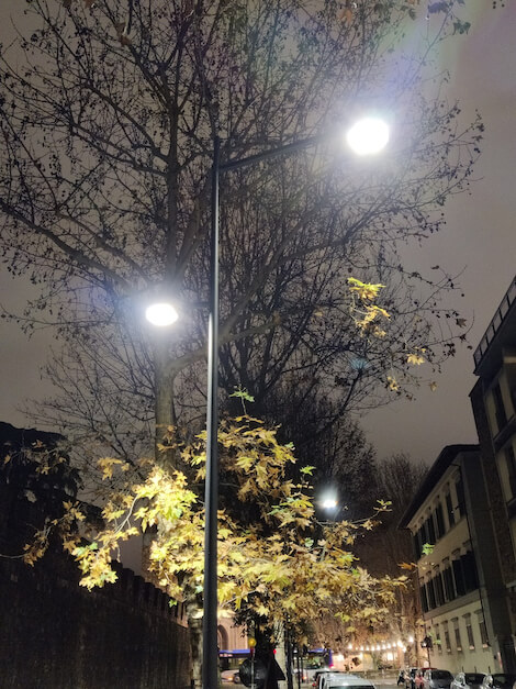 alberi e LED