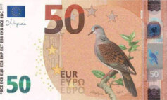 I nuovi Euro ornitologici