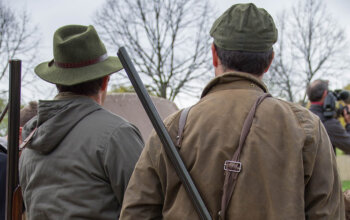 Oltre 400mila firme contro la riforma della caccia