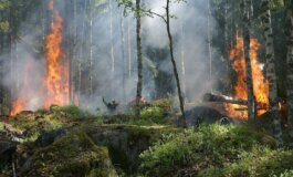 Incendi in Europa: a luglio sono bruciati 237mila ettari