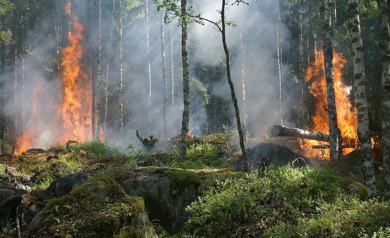 Incendi in Europa: a luglio sono bruciati 237mila ettari