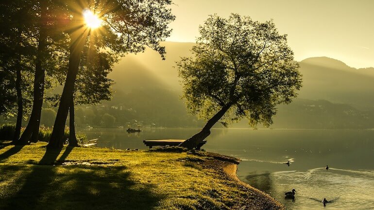 alberi
