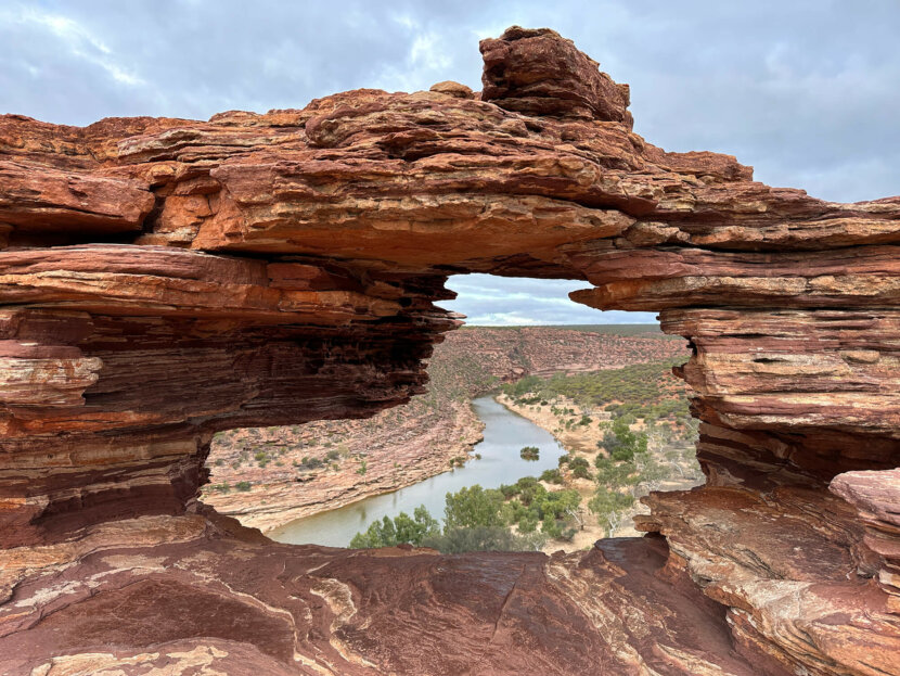 nature's Window