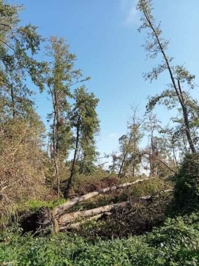 nubifragi Ticino