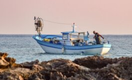 Le settimane della pesca sostenibile