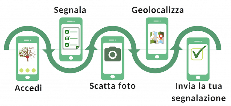 App SilvaCuore