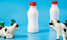 Ora il latte si fa in laboratorio, senza mucche