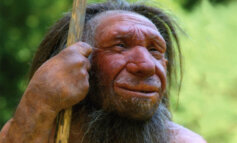 La cucina dei Neanderthal